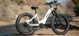 Test Himiway Zebra