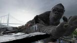 Test Kong Survivor Instinct